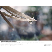 Lensbaby Velvet 56mm f/1.6 Lens for Canon EF