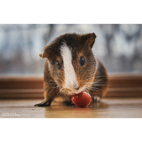 Lensbaby Velvet 56mm f/1.6 Lens for L Mount