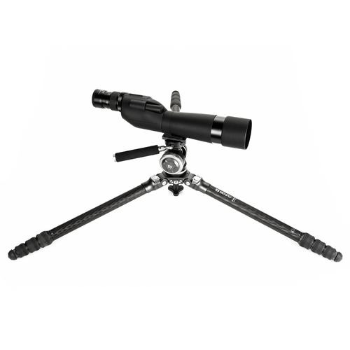 Benro Mammoth Carbon Fiber Tripod with WH15 Wildlife Head