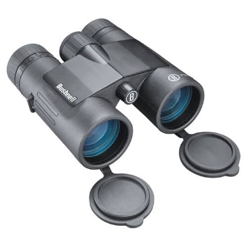 Bushnell Prime 8x32 Black Roof Prism Mc Binoculars
