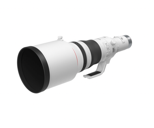 Canon RF 800mm f/5.6 L IS USM Telephoto Lens
