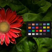 Calibrite ColorChecker Classic Nano
