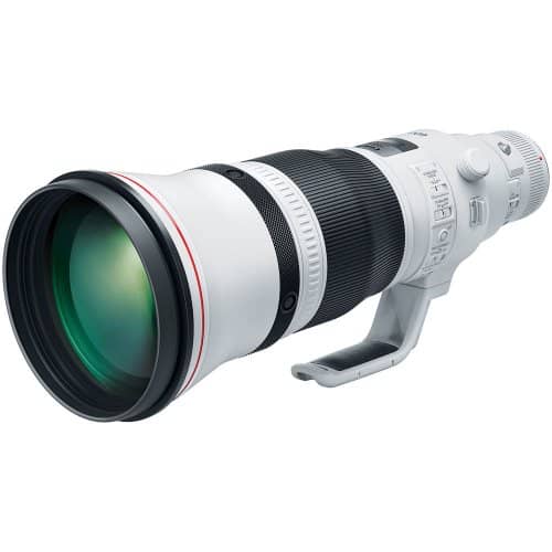 Canon EF 600mm F/4L IS III USM Lens - Georges Cameras