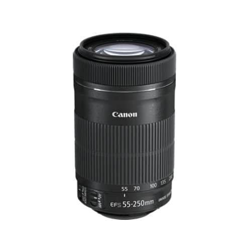 Canon EF-S 55-250mm f/4-5.6 IS STM Lens - Georges Cameras