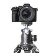Explorer EX-XL Epic Explorer Extra Large Ball Head - Georges Cameras