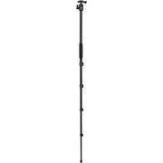 Benro FIT29AIH1 iTrip Tripod Kit with Ball Head