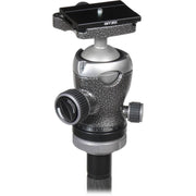 Gitzo GK2542-82QD Mountaineer Series 2 Carbon Fiber Tripod with Center Ball Head