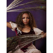 Lastolite Kit BG EzyFrame 2x2.3m Aubergine