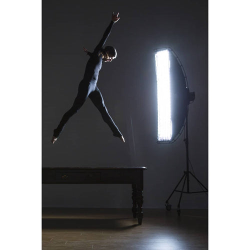 Lastolite Ezybox Pro Strip Softbox (10 x 59