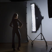 Lastolite Ezybox Pro Strip Softbox (10 x 59