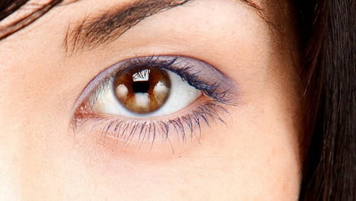 Lastolite Kit Frame Stand Panel Triflect