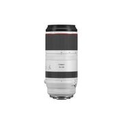 Canon RF 100-500mm f/4.5-7.1 L IS USM