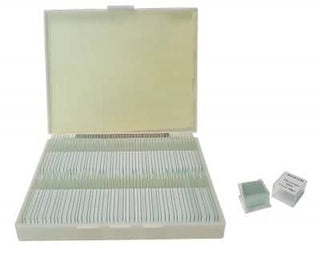 Saxon Blank Slides Kit with Box (100pcs)