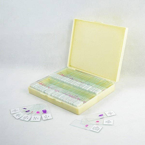 Saxon Biological Microscope Prepared Slides (100 Specimens)
