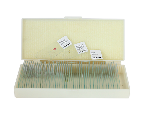 Saxon Plants Biological Microscope Prepared Slides (50pcs)