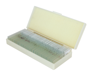 Saxon Animal Biological Microscope Prepared Slides (50pcs)