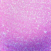 Saxon SBM ScienceSmart Biological Microscope SL-BL