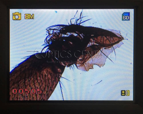 Saxon ScienceSmart 8MP LCD Digital Microscope