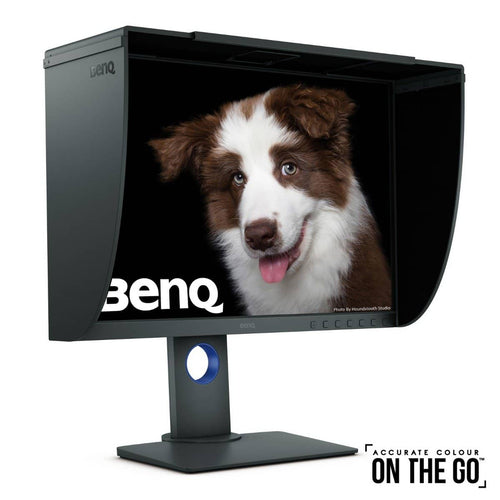 BenQ SW240 24-Inches 16:10 PhotoVue IPS Monitor (Excludes Hood)