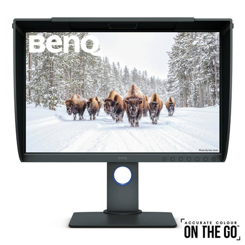 BenQ SW240 24-Inches 16:10 PhotoVue IPS Monitor (Excludes Hood)