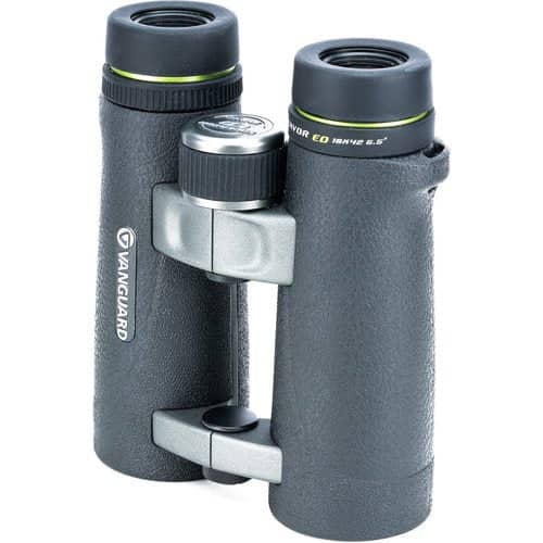 Vanguard 10x42 Endeavor ED Binocular