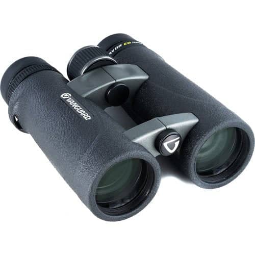 Vanguard 10x42 Endeavor ED Binocular