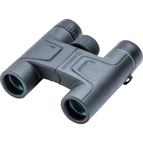 Vanguard Vesta 10x25 Binoculars