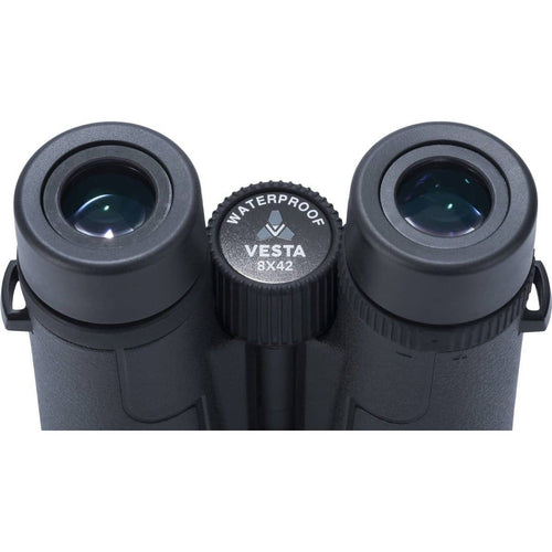 Vanguard Vesta 10x42 Binoculars