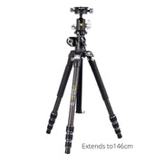 Vanguard VEO 3T+ 234CB Travel Carbon Fibre Tripod / Monopod